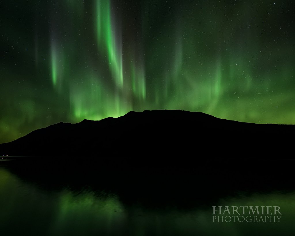 Lutak Inlet, Haines Alaska - Richard Hartmier Photography